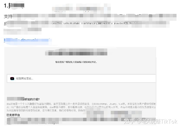 全网最全TikTok海外抖音从入门到进阶的100+款实用工具 …