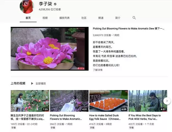 在全球最大的视频平台YouTube上,我们能抓住哪些机会? 在全球最大的视频平台YouTube上,我们能抓住哪些机会?