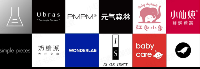 小红书运营：从认识小红书开始（平台 用户 场景 内容 效果 品牌）