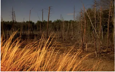 运营必看：配图不愁，超优质图片素材网站推荐