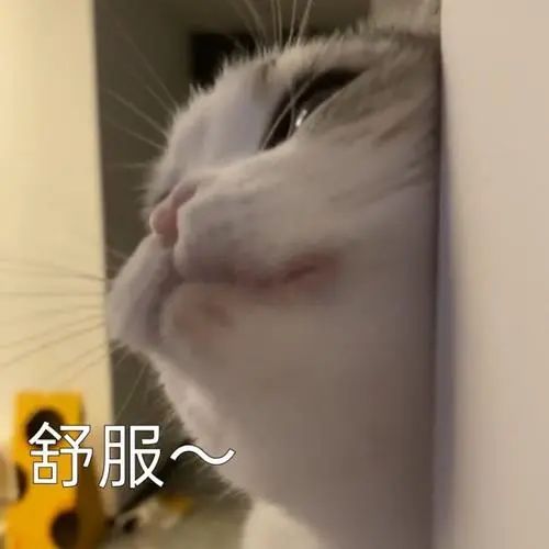 2023挣钱最快的牛逼副业-tiktok，1条15秒短视频收益10W …