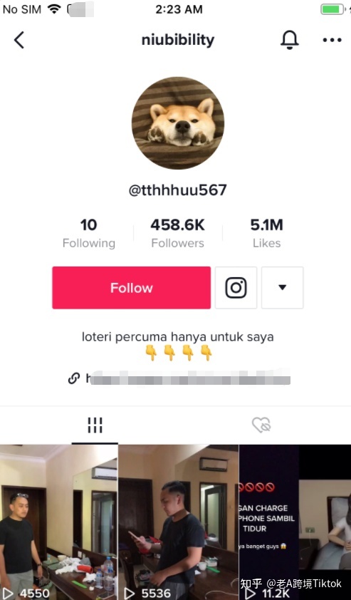 2022年，TikTok，这个风口你不能再错过了！