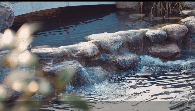 缩短数字营销链路，碧桂园如何玩转微信视频号直播卖房？