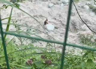 小红书坑爹种草，还要害死多少人？