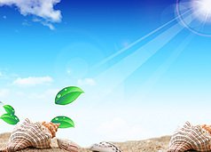 淘宝九宫格主图违规吗?淘宝违规行为有哪些？