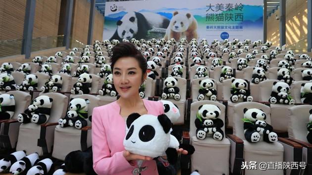 陕西秦岭大熊猫文化全球推广大使来啦，你知道是哪位美女吗？