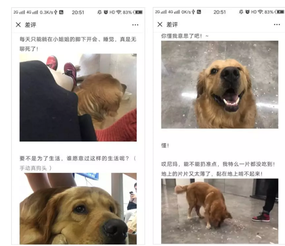 抖音网红、10万+大号都在用的沙雕段子，原来是这样来的！