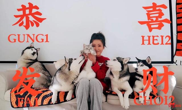 “萌宠博主”的生意经：有宠物医生一年带货千万，也有博主苦于回本