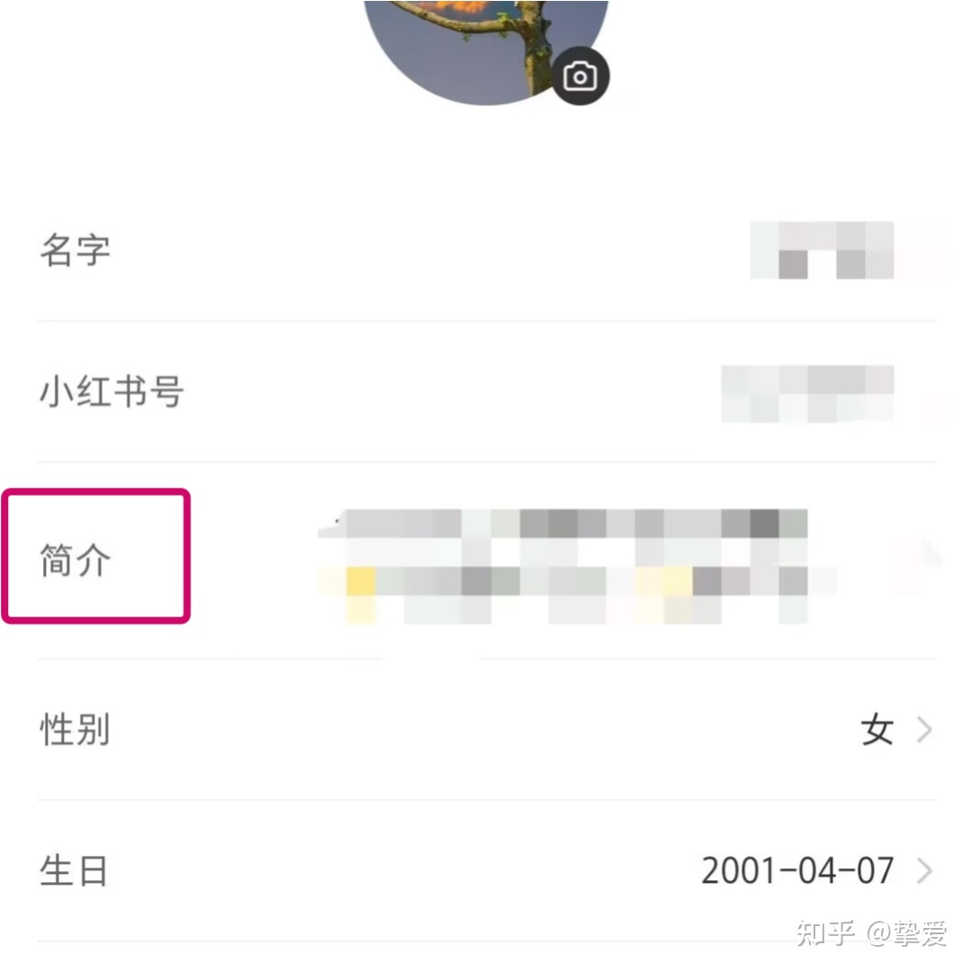 自媒体时代如何做好小红书营销