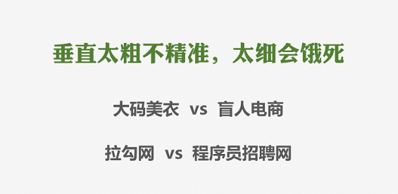 8张PPT了解垂直行业的泡沫和生存法则