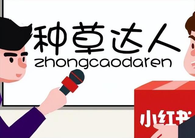 小红书种草达人类型有哪些？不同粉丝量达人等级划分