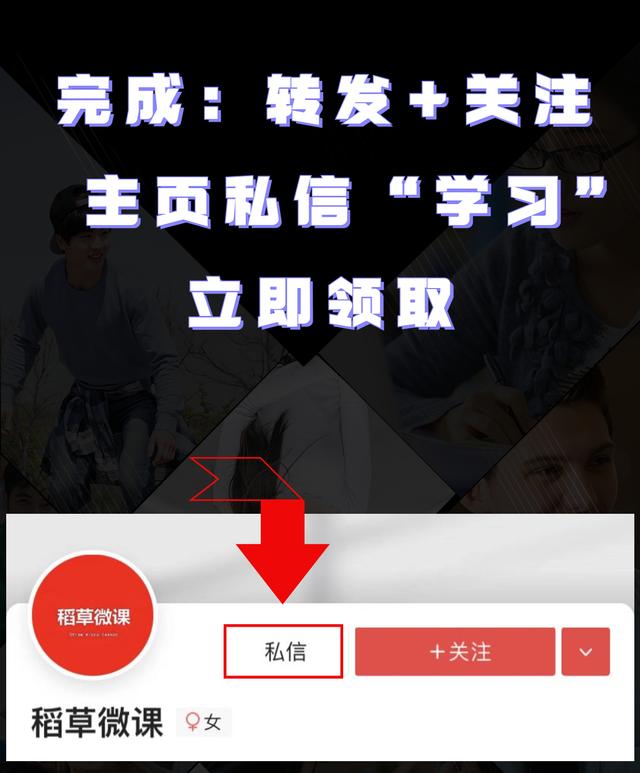 小红书运营实操爆款打造指南