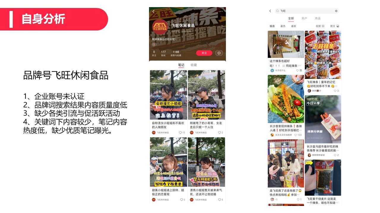 2022飞旺辣条小红书品牌营销方案