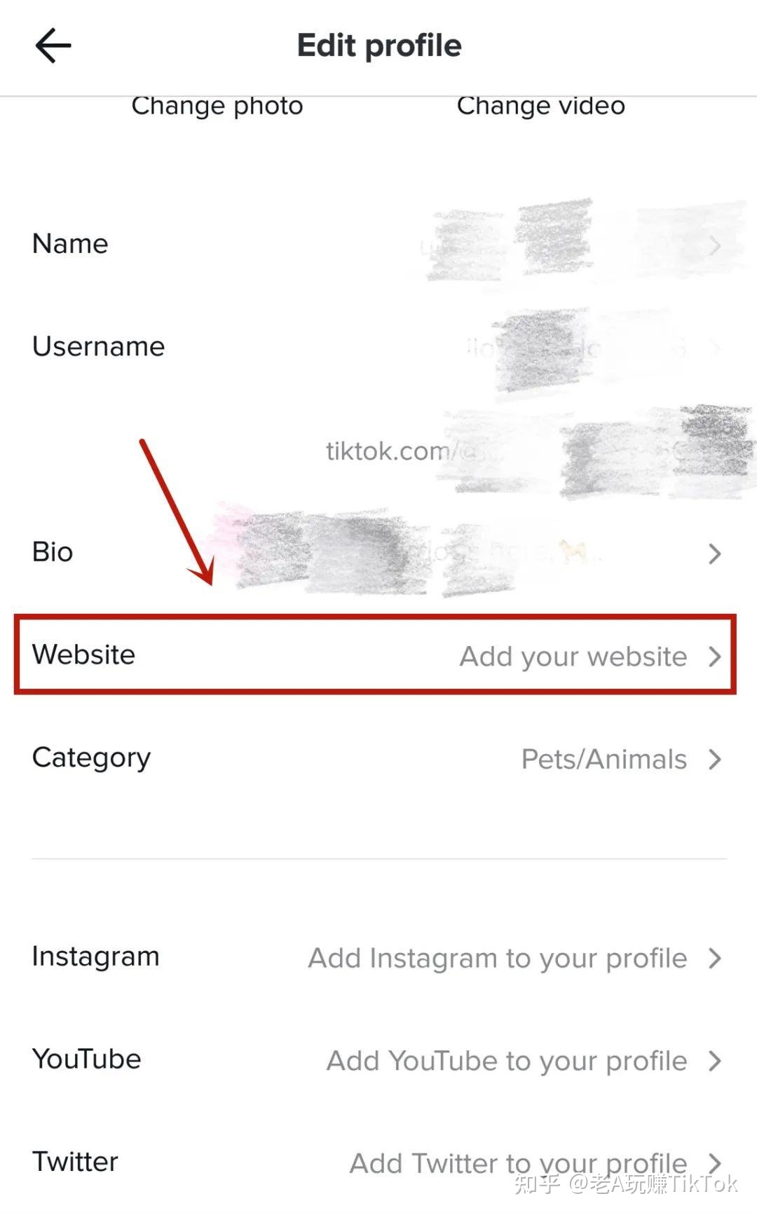 如何玩转TikTok营销？你想知道的一切都在这里