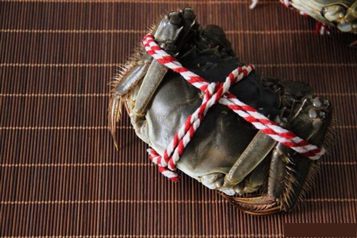 怎么用手机拍淘宝图片?手机怎么拍淘宝图片?