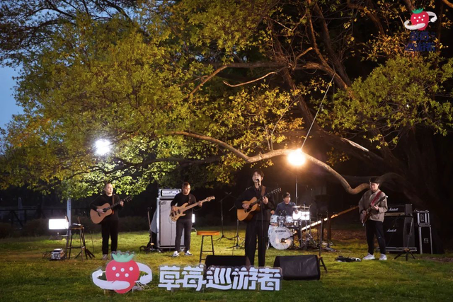 2700万人观看西城男孩直播，视频号会成为音乐宣推和变现的新阵地吗？