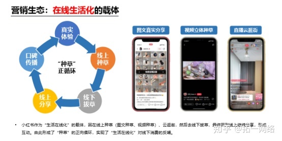 小红书内容营销数据洞察