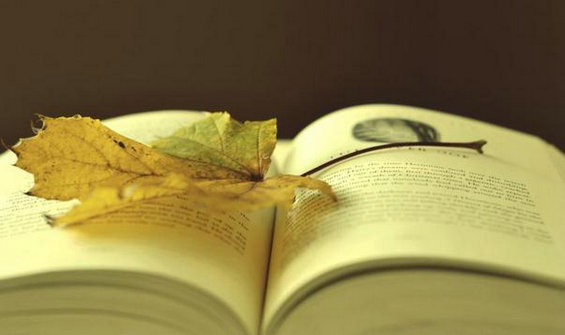 60位创投阅读达人推荐120本年度好书