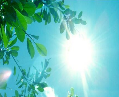 淘宝静物拍摄技巧:淘宝静物拍摄灯光布置 淘宝静物拍摄技巧:淘宝静物拍摄灯光布置