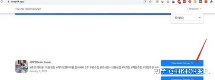 在国内怎么下载tiktok，有没有大神可以教一下？