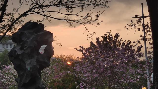 新手做小红书,一定要知道的56条运营经验 新手做小红书,一定要知道的56条运营经验