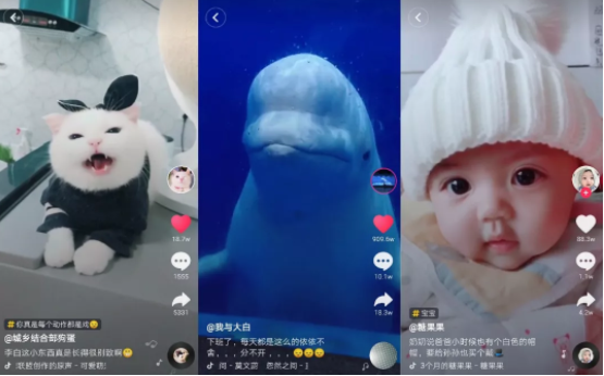 在抖音，如何做出爆款内容？