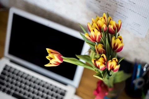 淘宝咋做好手淘流量？分配流量的目的是啥？