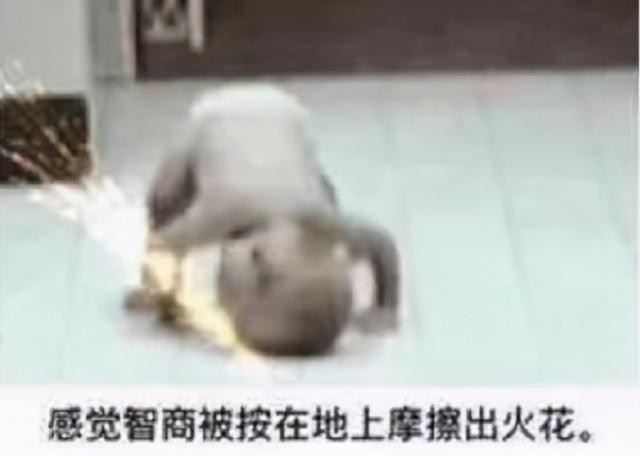 用你的视频号“薅”微信流量,这个灰产太野了 用你的视频号“薅”微信流量,这个灰产太野了