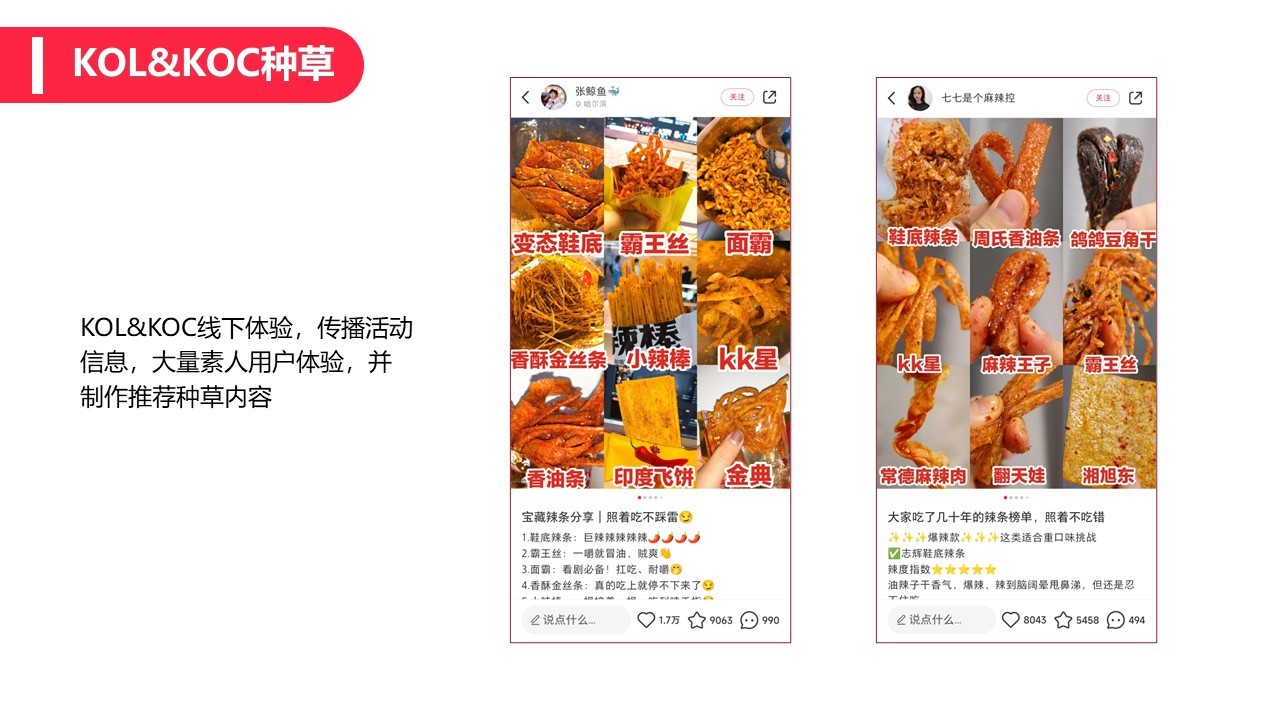 2022飞旺辣条小红书品牌营销方案