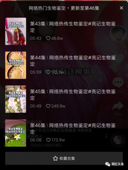 抖音7天吸粉111万，揭秘《无穷小亮》的涨粉科普日常！