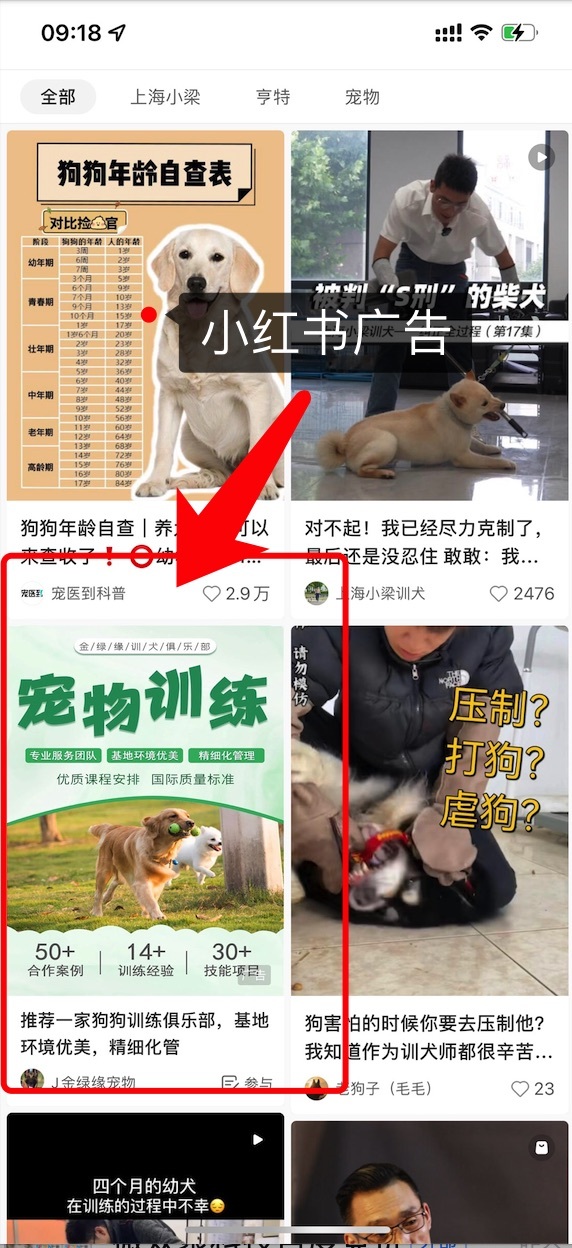 小红书广告开户推广代理渠道找哪？