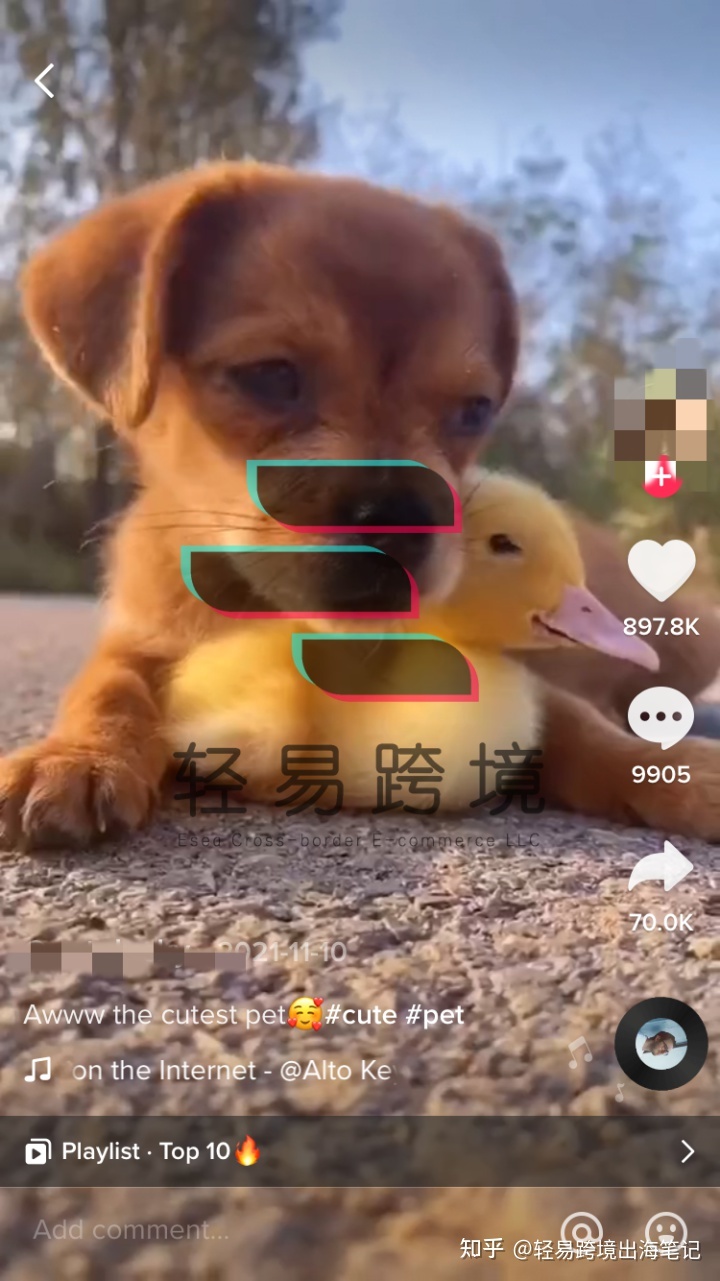 TikTok国际版如何快速涨粉？新手小白只需做好这五招