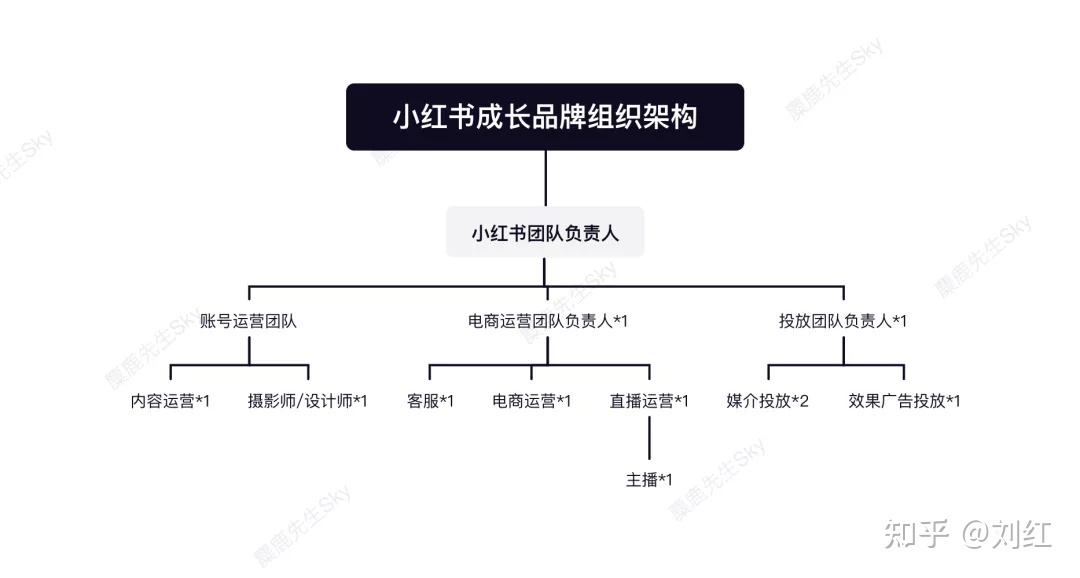 小红书运营团队组织架构设计方案（附小红书教学运营资料 … …