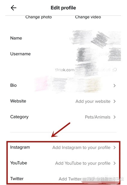 国内电商如何通过TIKTOK带货？