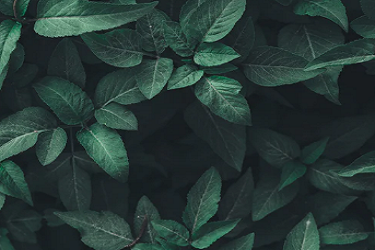 淘宝权重如何提升？有哪些方法？