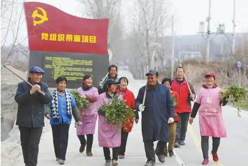 捷报频传 蓝田再获全市第一