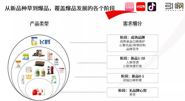 从新品到爆品的小红书营销