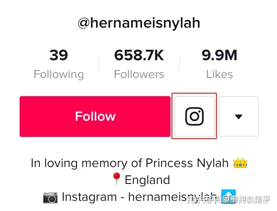 我用这个技巧运营tiktok，每天收益500美（附带全套运营资料） …