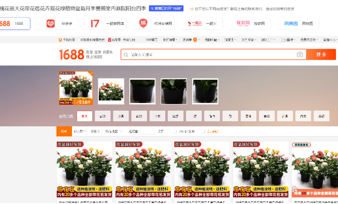 秋刀鱼工具箱里淘宝搜索页插件怎么用？