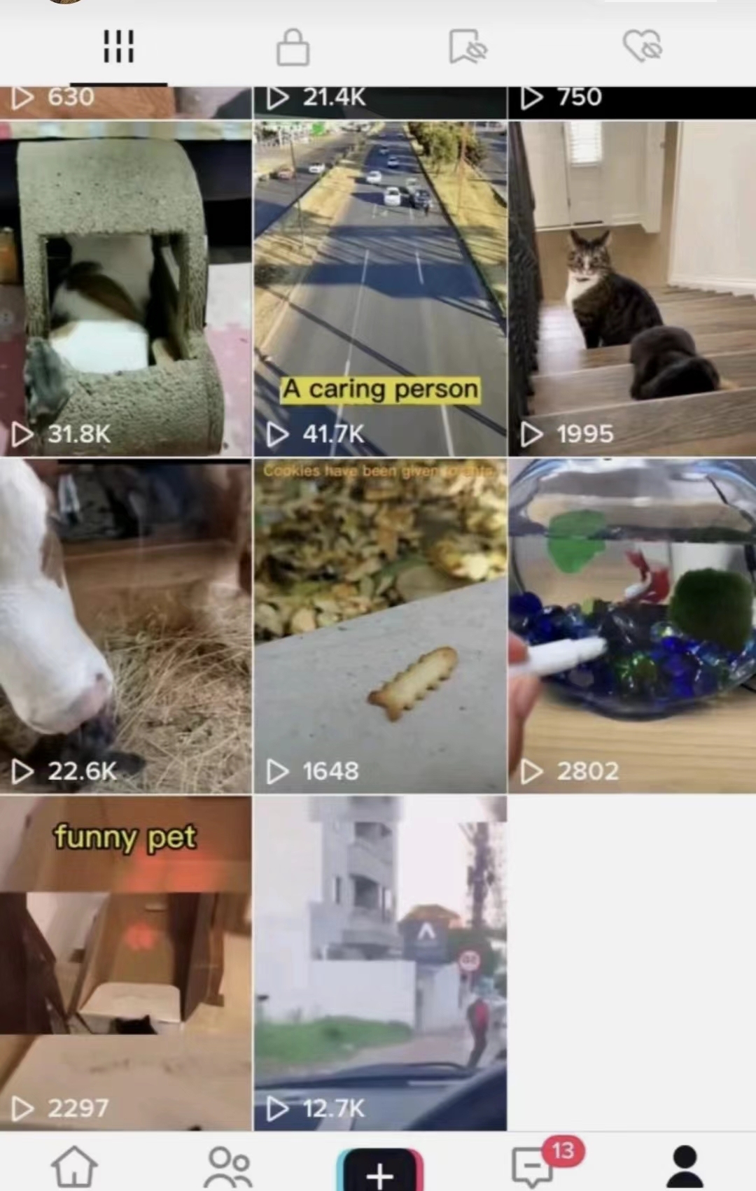 【避坑干货】新手小白怎么操作海外抖音tiktok？