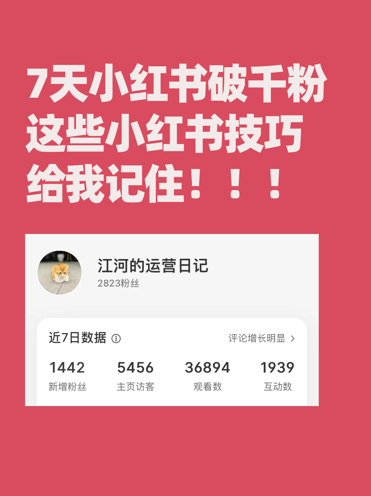 小红书如何快速涨粉？7天涨粉1400，我的运营技巧告诉你~