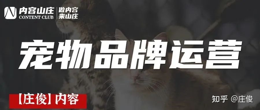 小红书上宠物品牌都是怎么玩的