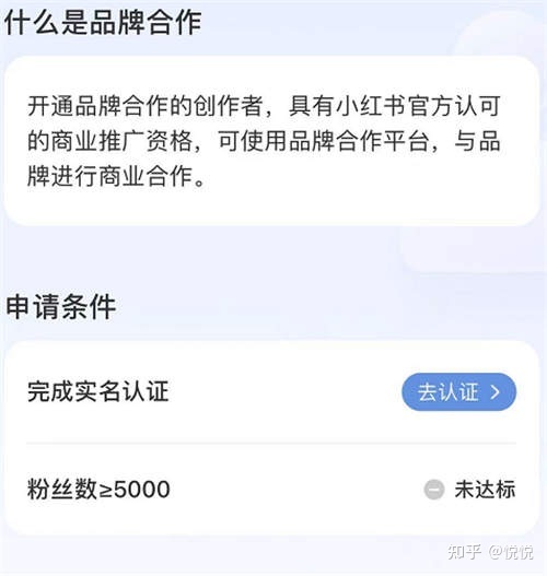 5000字详解小红书热门领域以及变现模式