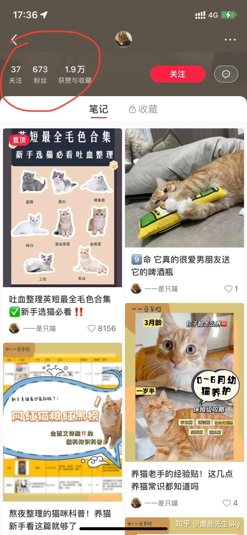 你在小红书的涨粉速度不如狗