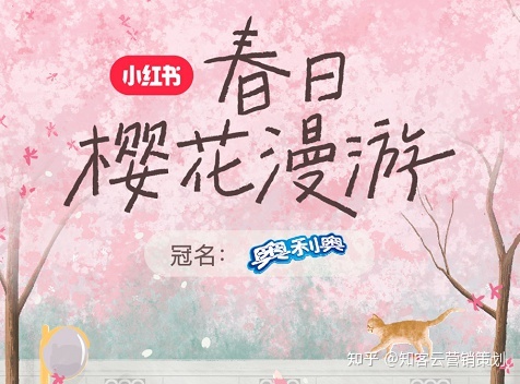 小红书如何种草，小红书运营案例如何获得六十万赞