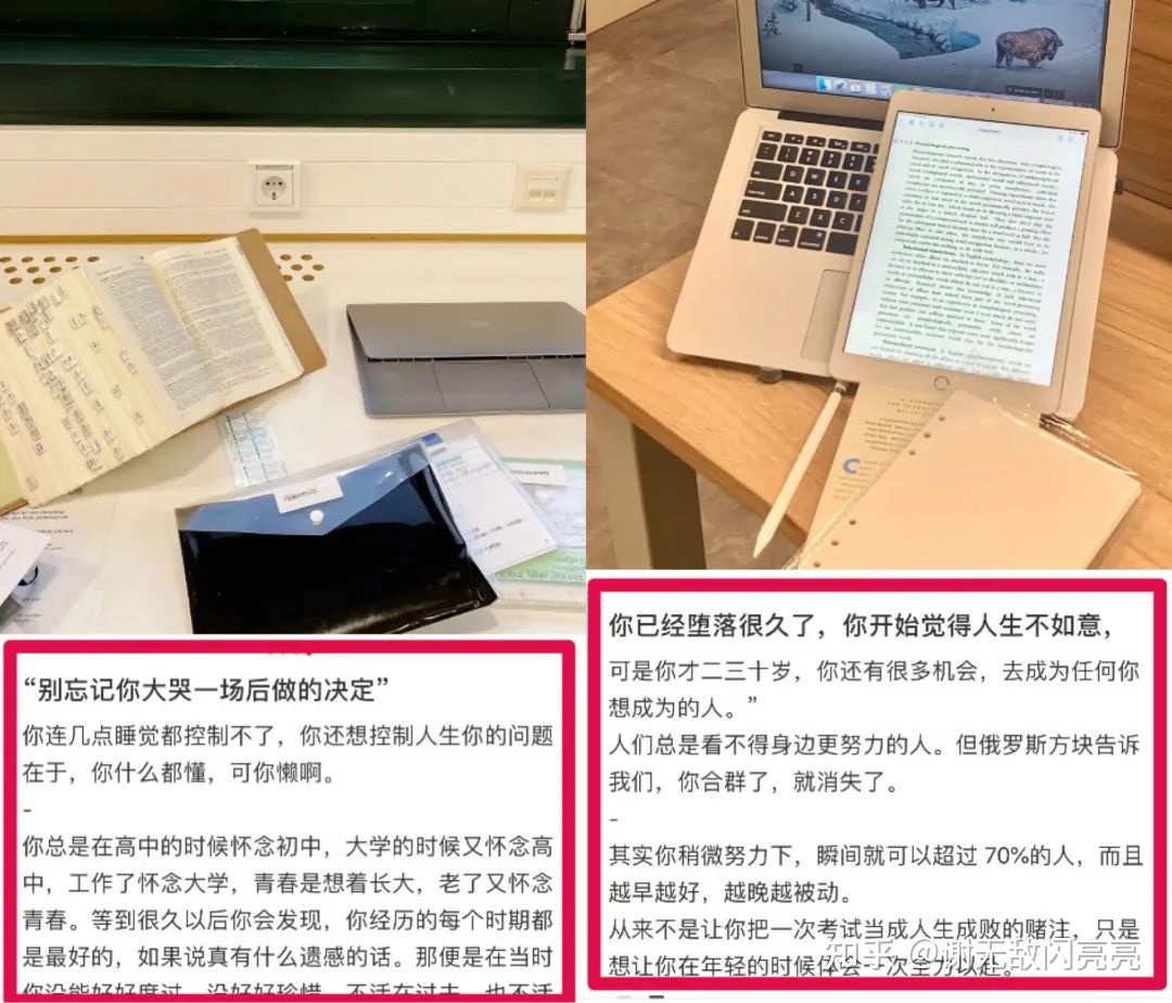 从无人问津到涨粉率90%，她做了什么？｜9月涨粉榜TOP50 …