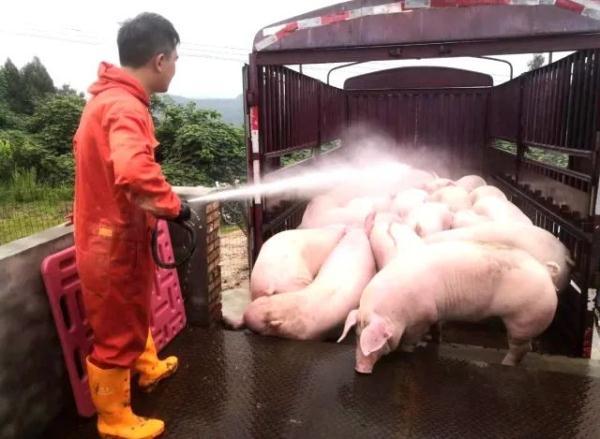 80后帅小伙辞去公务员后年入700万!妈妈当初因为这事气了很久…… 80后帅小伙辞去公务员后年入700万!妈妈当初因为这事气了很久……