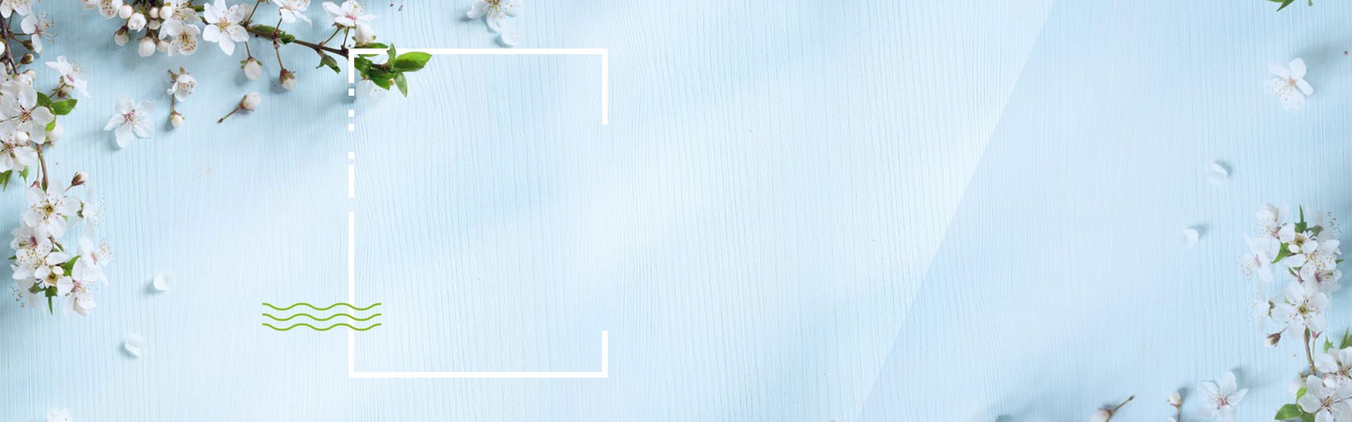 浅色小清新白色花朵淘宝店铺背景图片素材