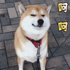 TikTok运营必看：带你揭秘Promote视频热门投流技巧