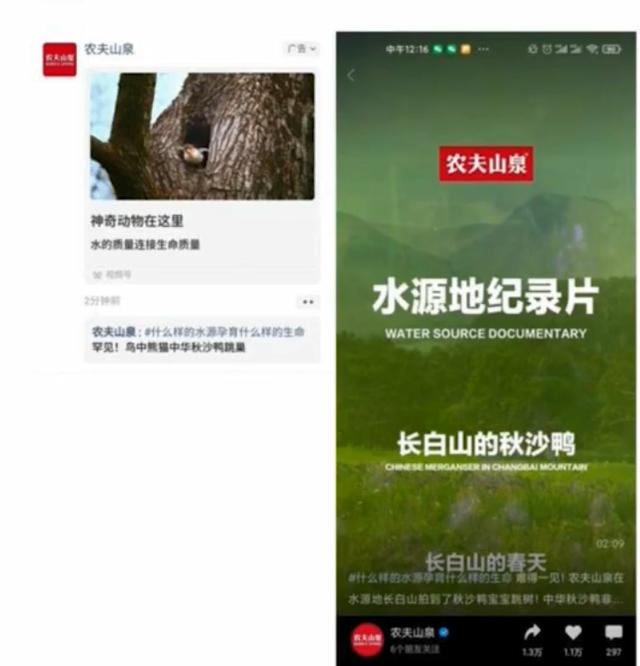 视频号直播推广案例